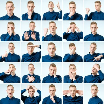 策略分析作者头像